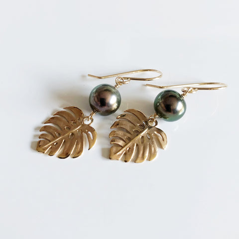 Monstera dangle (E531)