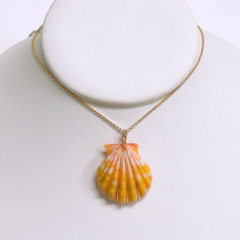 Large sunrise shell necklace ( 1.25” -1.5” shell)