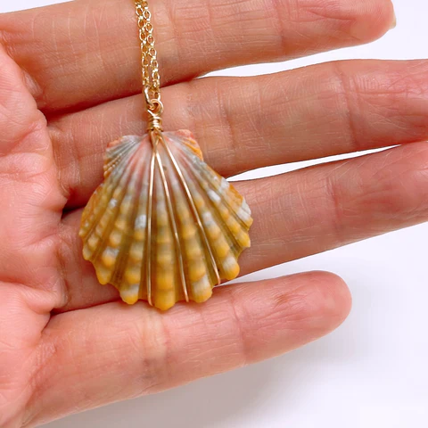 Sunrise shell necklace ( 1” shell)